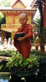 15 février au 4 mars 2021 : Voyage culturel, spirituel et de ressourcement incluant méditation et yoga au Sri Lanka 7