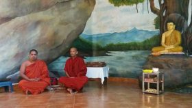 15 février au 4 mars 2021 : Voyage culturel, spirituel et de ressourcement incluant méditation et yoga au Sri Lanka 3