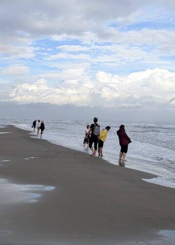 Stage Camargue avec Dominique Jeanneret