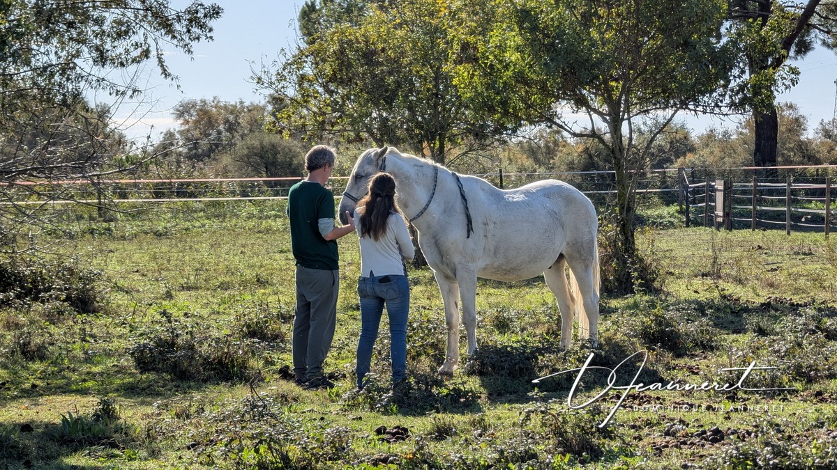 Stage Se Choisir, Mas du Grand Peloux, Camargue, France