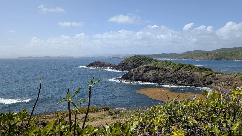 A droie dans la baie, des sargasses en brun, ces algues envahissantes et odorantes
